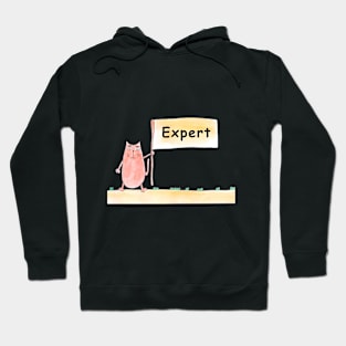 Expert. Cat is holding a banner with the inscription. Humor, humorous, joke. Text message. Watercolor, humorous funny design. Hoodie